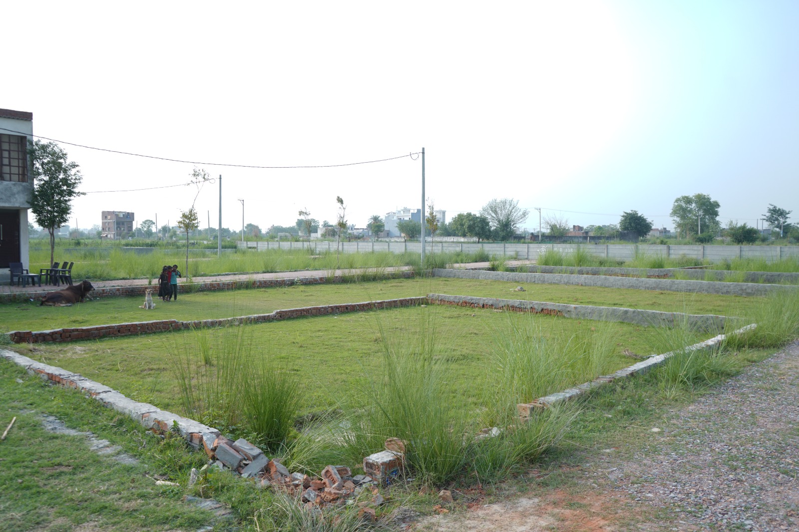 WhatsApp Image 2025-07-05 at 11.23.27 PM